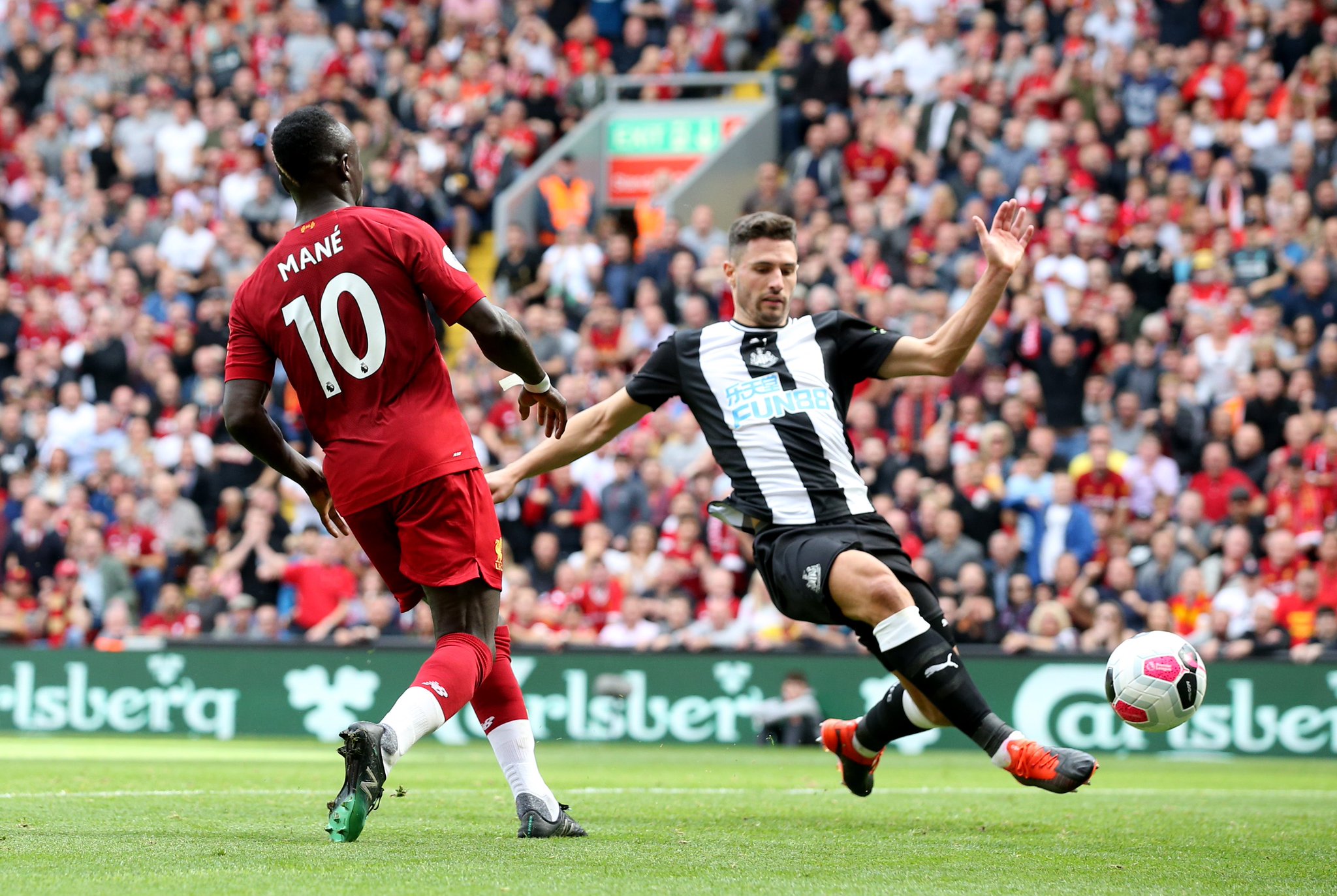 黑马的崛起 黑马的崛起